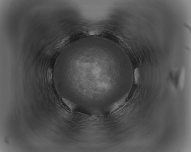 X0000091851443200709191046