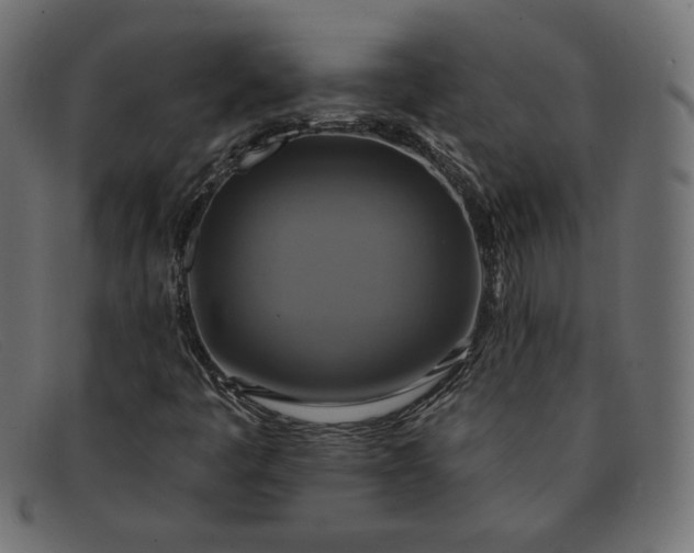 X0000091851445200709191046