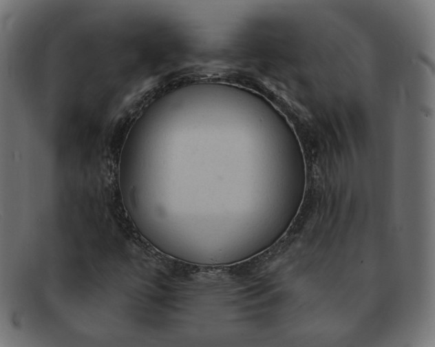 X0000091851447200709191046