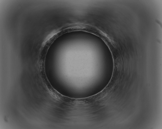 X0000091851448200709191046