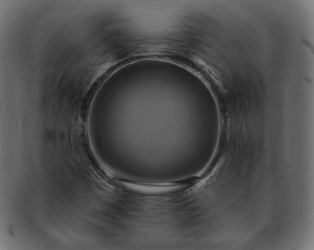 X0000091851449200709191046