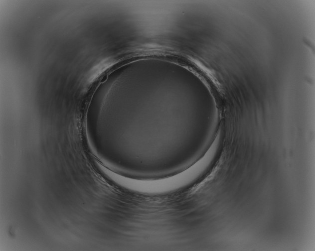 X0000091851453200709191046