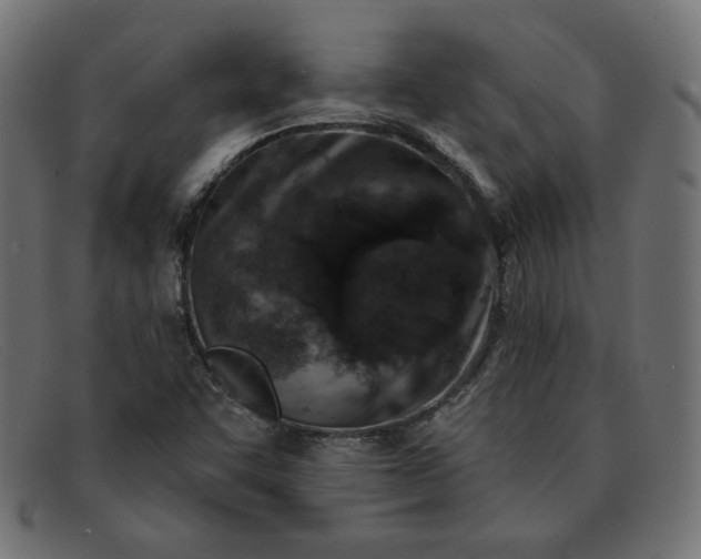 X0000091851455200709191046