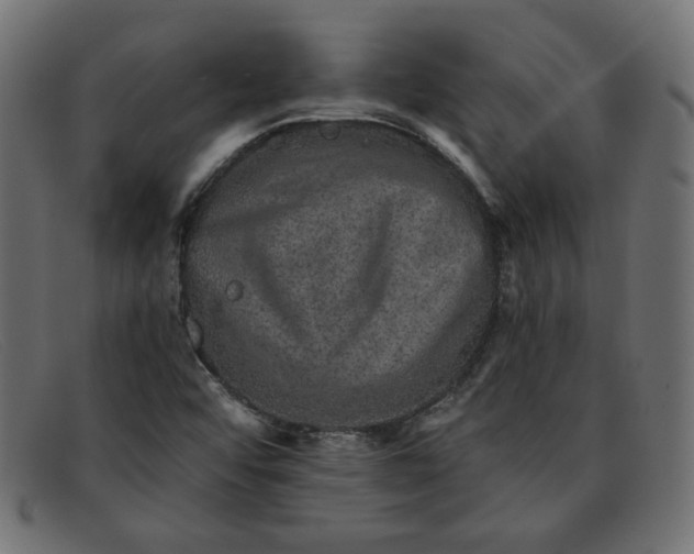 X0000091851456200709191046