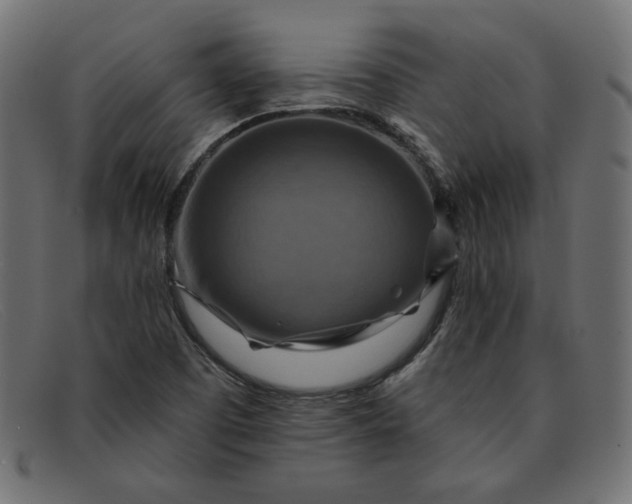 X0000091851457200709191046