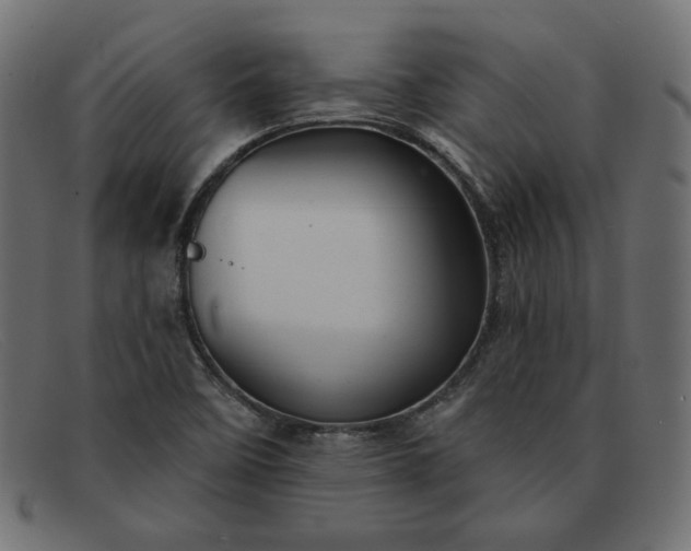 X0000091851458200709191046