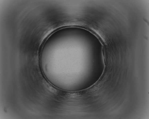 X0000091851460200709191046