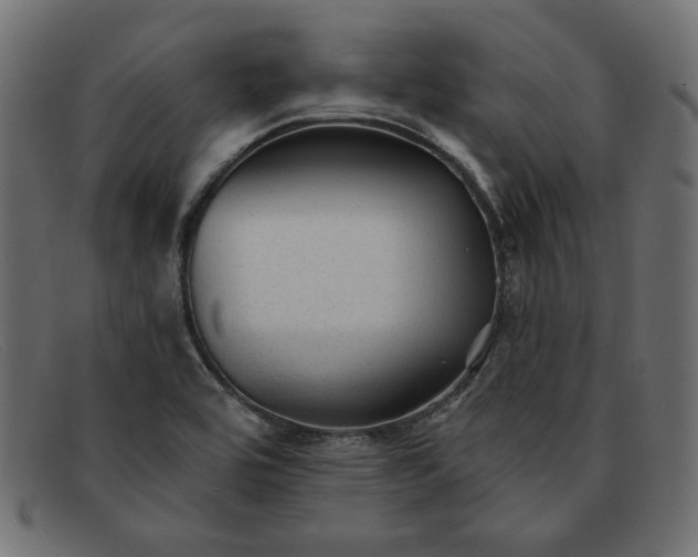X0000091851464200709191046