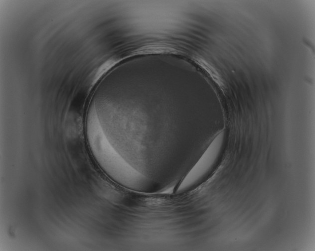 X0000091851465200709191046