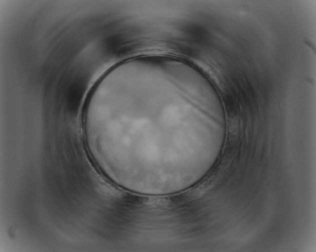 X0000091851466200709191046