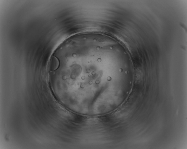 X0000091851467200709191046
