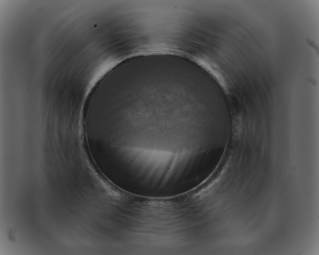X0000091851469200709191046
