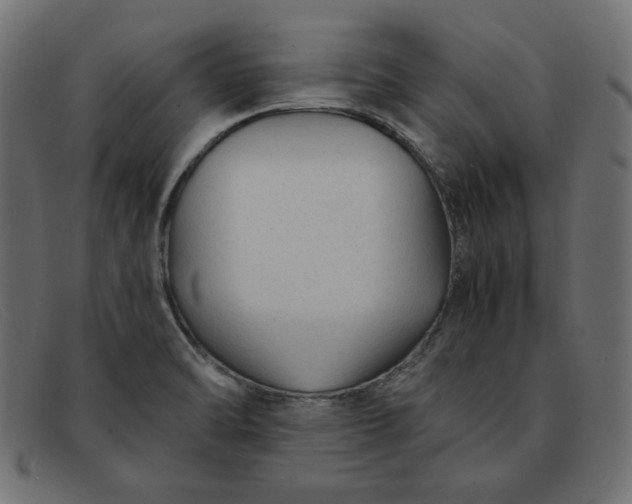 X0000091851470200709191046