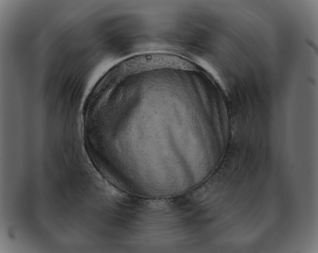 X0000091851472200709191046