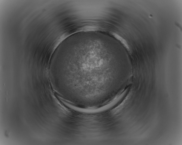 X0000091851473200709191046
