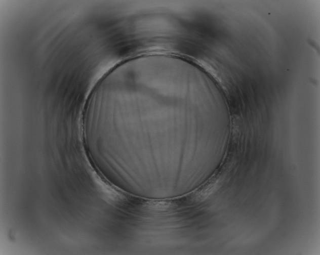 X0000091851474200709191046