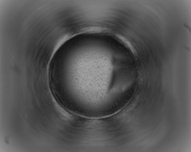 X0000091851475200709191046
