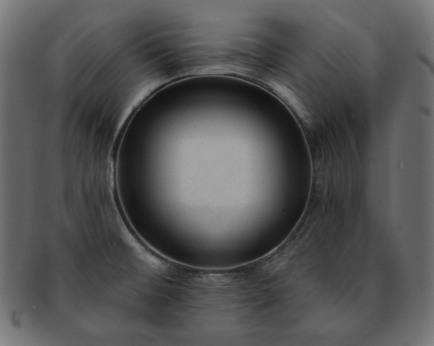 X0000091851476200709191046