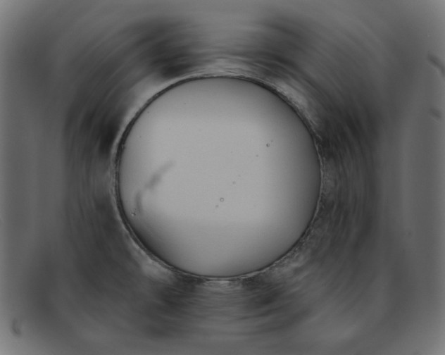 X0000091851478200709191046