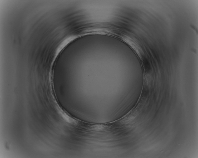 X0000091851482200709191046
