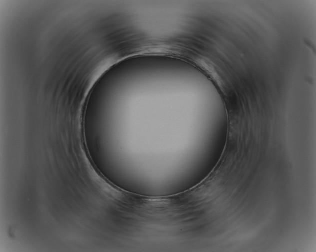 X0000091851483200709191046