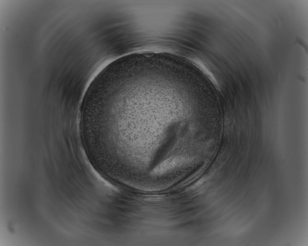 X0000091851484200709191046
