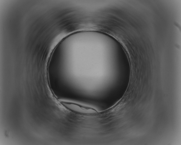 X0000091851488200709191046