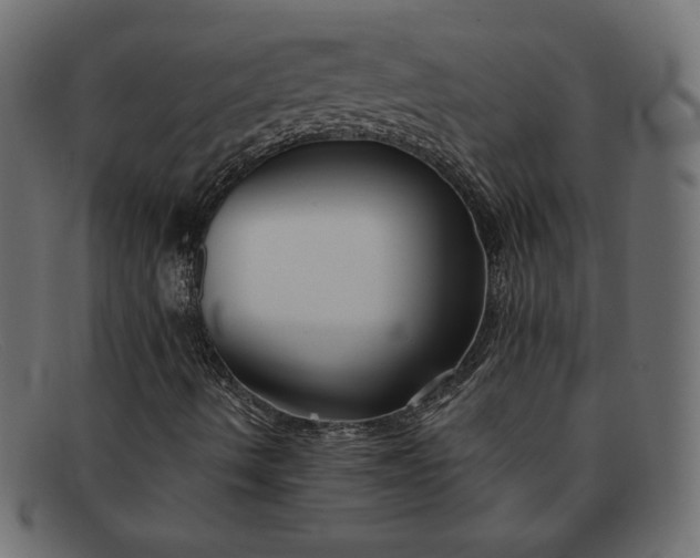 X0000091851490200709191045