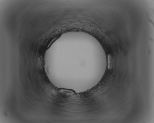 X0000091851491200709191045