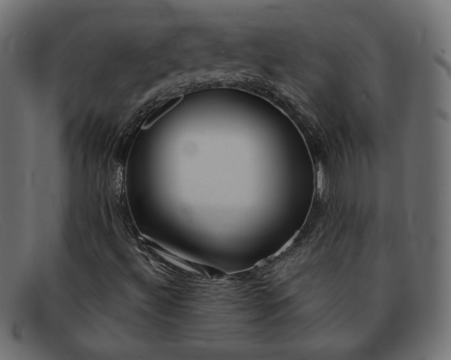 X0000091851492200709191045