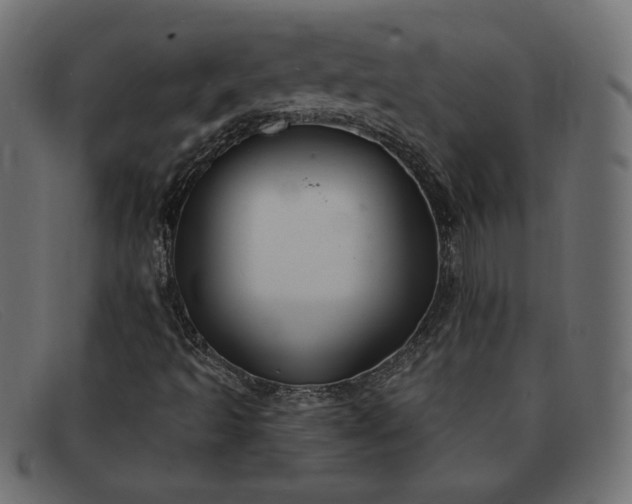 X0000091851493200709191045