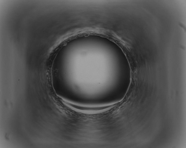 X0000091851496200709191045