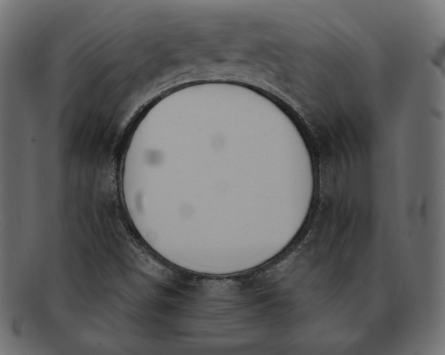 X0000091851498200709191045