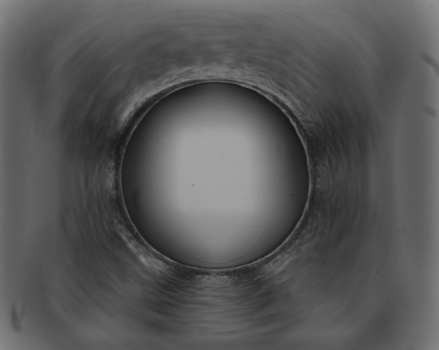 X0000091851499200709191045