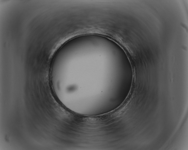 X0000091851500200709191045