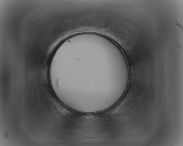 X0000091851502200709191045