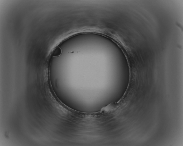 X0000091851504200709191045