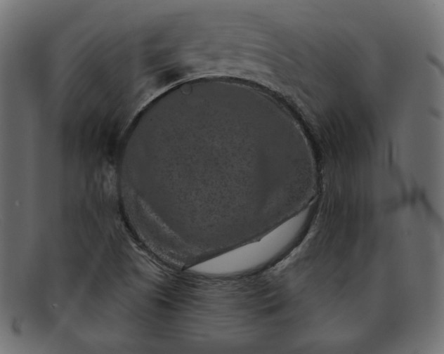 X0000091851505200709191045