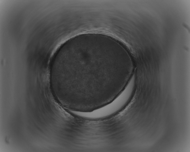X0000091851506200709191045