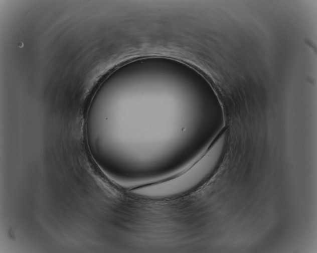 X0000091851507200709191045