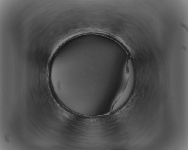 X0000091851508200709191045