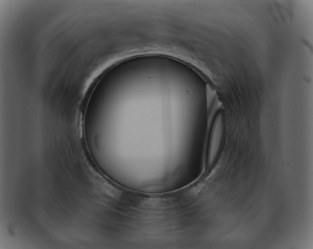 X0000091851510200709191045