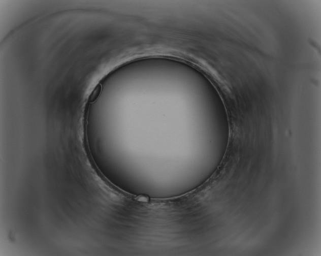 X0000091851512200709191045