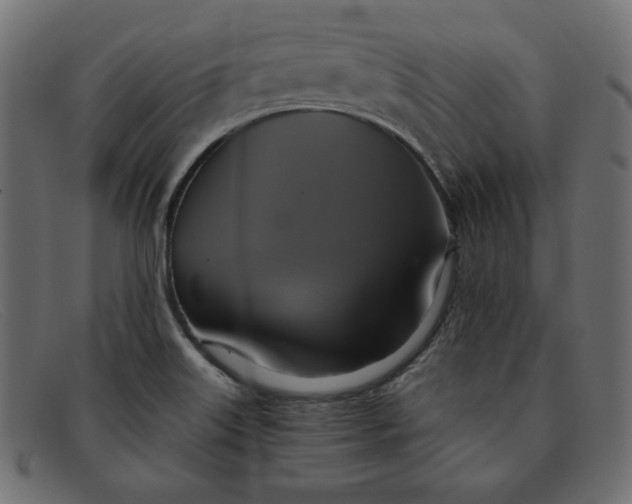 X0000091851515200709191045