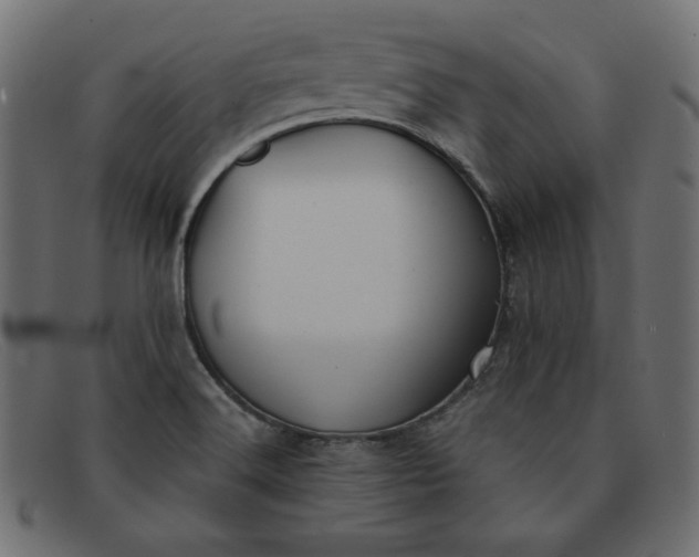 X0000091851516200709191045