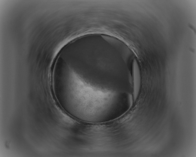 X0000091851519200709191045