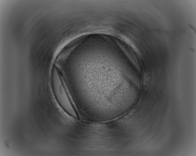 X0000091851520200709191046