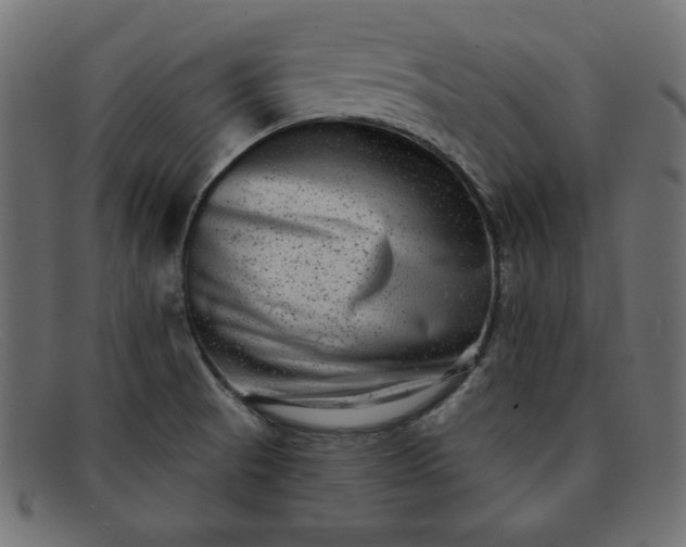X0000091851521200709191046