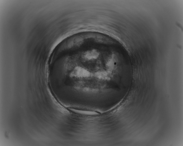 X0000091851522200709191046