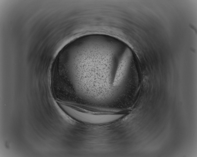 X0000091851523200709191046
